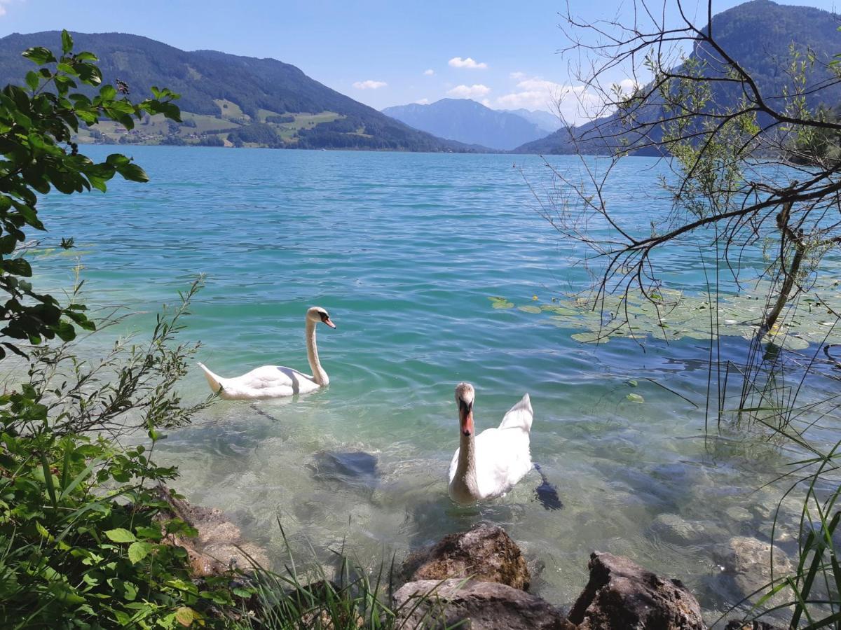 שטרובל Apartment Am Wolfgangsee מראה חיצוני תמונה