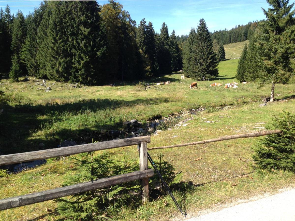 שטרובל Apartment Am Wolfgangsee מראה חיצוני תמונה